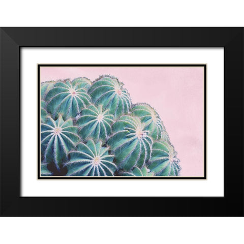 Pink Crush II Black Modern Wood Framed Art Print with Double Matting by Urquhart, Elizabeth