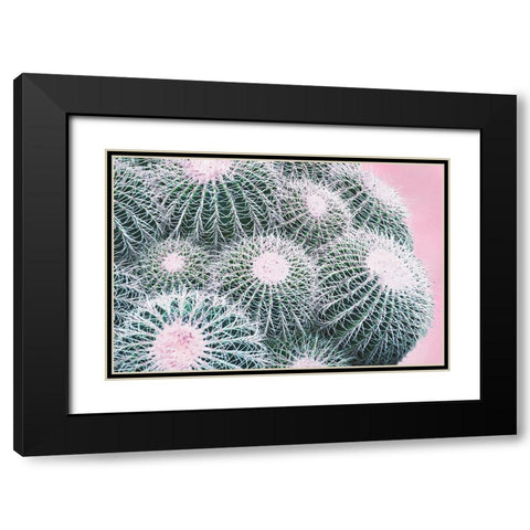 Pink Crush III Black Modern Wood Framed Art Print with Double Matting by Urquhart, Elizabeth