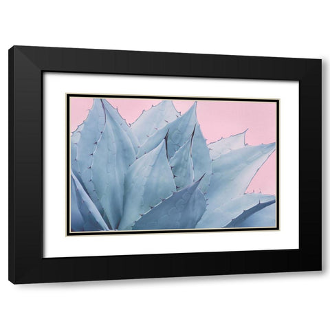 Pink Crush V Black Modern Wood Framed Art Print with Double Matting by Urquhart, Elizabeth