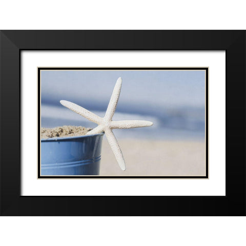 Misty Morning IV Black Modern Wood Framed Art Print with Double Matting by Urquhart, Elizabeth