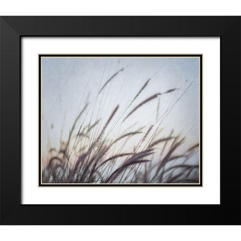Misty Morning VI Black Modern Wood Framed Art Print with Double Matting by Urquhart, Elizabeth
