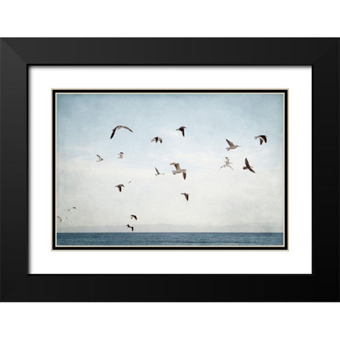 Soar I Black Modern Wood Framed Art Print with Double Matting by Urquhart, Elizabeth