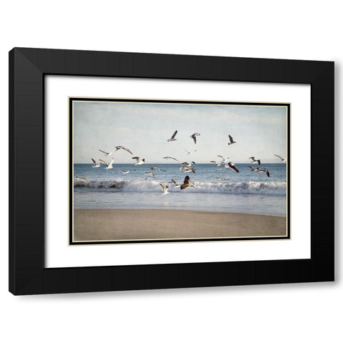 Soar II Black Modern Wood Framed Art Print with Double Matting by Urquhart, Elizabeth