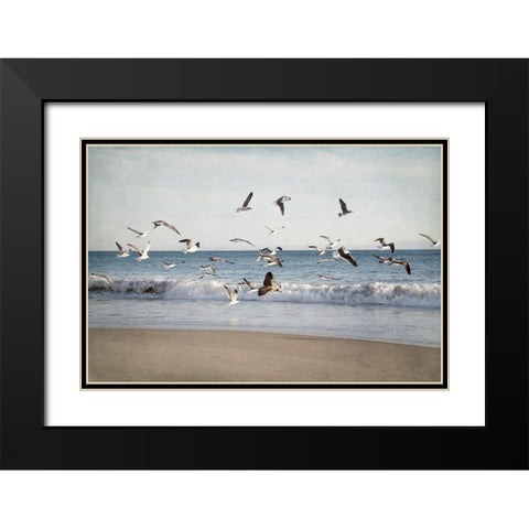 Soar II Black Modern Wood Framed Art Print with Double Matting by Urquhart, Elizabeth