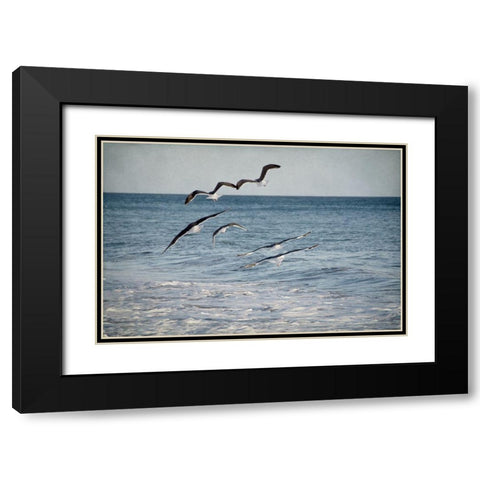 Soar III Black Modern Wood Framed Art Print with Double Matting by Urquhart, Elizabeth