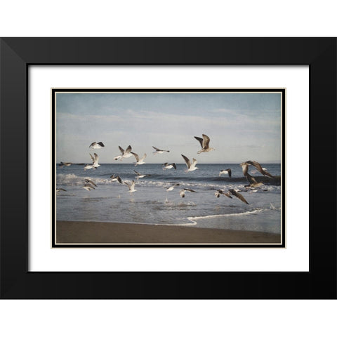 Soar IV Black Modern Wood Framed Art Print with Double Matting by Urquhart, Elizabeth