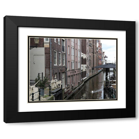 Swan Amsterdam Black Modern Wood Framed Art Print with Double Matting by Frances, Stephanie