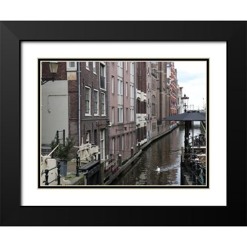 Swan Amsterdam Black Modern Wood Framed Art Print with Double Matting by Frances, Stephanie