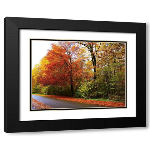 Amsterdam Woods Black Modern Wood Framed Art Print with Double Matting by Frances, Stephanie
