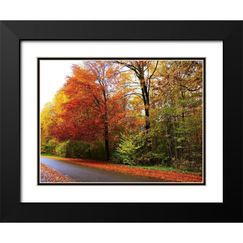 Amsterdam Woods Black Modern Wood Framed Art Print with Double Matting by Frances, Stephanie