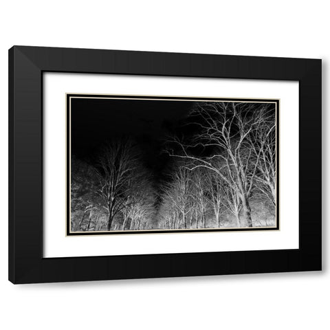 Branches Black Modern Wood Framed Art Print with Double Matting by Frances, Stephanie
