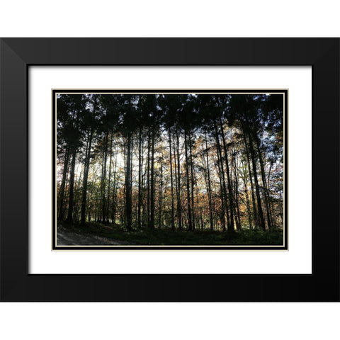 Over There Black Modern Wood Framed Art Print with Double Matting by Frances, Stephanie