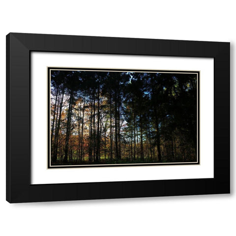 Over There 2 Black Modern Wood Framed Art Print with Double Matting by Frances, Stephanie