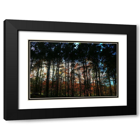 Over There 2 Black Modern Wood Framed Art Print with Double Matting by Frances, Stephanie