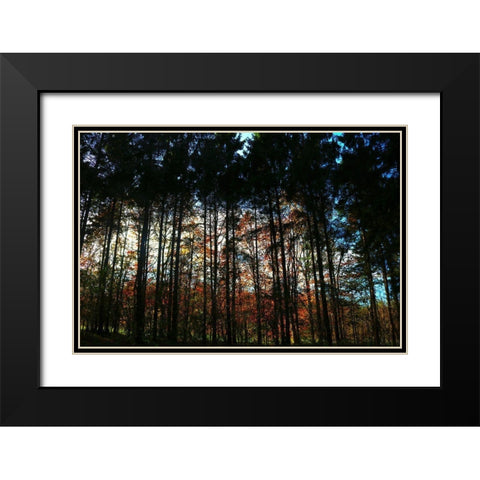 Over There 2 Black Modern Wood Framed Art Print with Double Matting by Frances, Stephanie