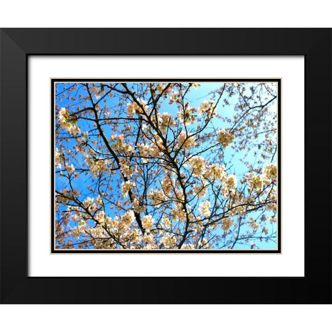 Yellow Blossoms 2 Black Modern Wood Framed Art Print with Double Matting by Frances, Stephanie