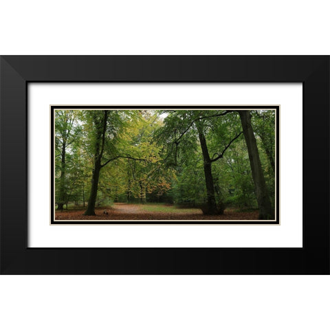 Woods Wanderer 1 Black Modern Wood Framed Art Print with Double Matting by Frances, Stephanie