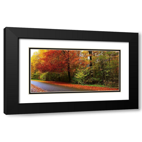 Woods Wanderer 2 Black Modern Wood Framed Art Print with Double Matting by Frances, Stephanie