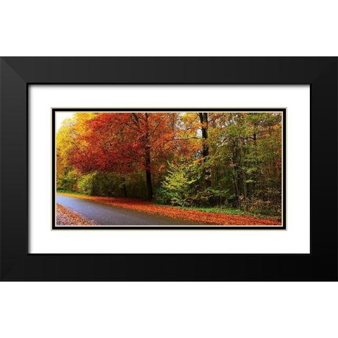 Woods Wanderer 2 Black Modern Wood Framed Art Print with Double Matting by Frances, Stephanie