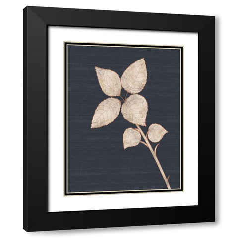 Flower 2 Black Modern Wood Framed Art Print with Double Matting by Gibbons, Lauren