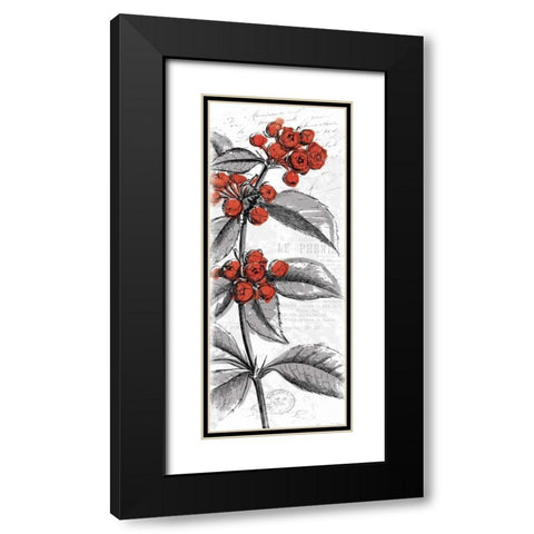 Red Flower Black Modern Wood Framed Art Print with Double Matting by Grey, Jace