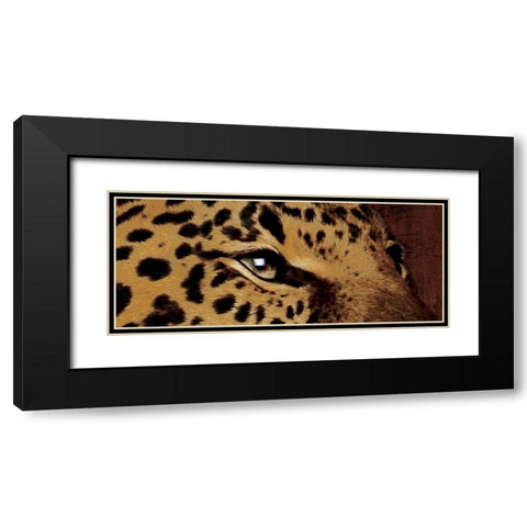 Leopard Eyes Black Modern Wood Framed Art Print with Double Matting by Grey, Jace