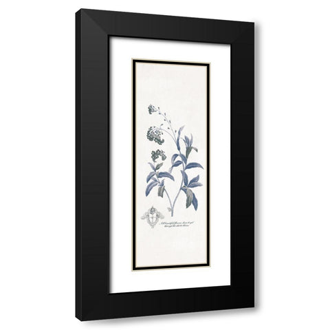 Beautiful Flowers Black Modern Wood Framed Art Print with Double Matting by Grey, Jace