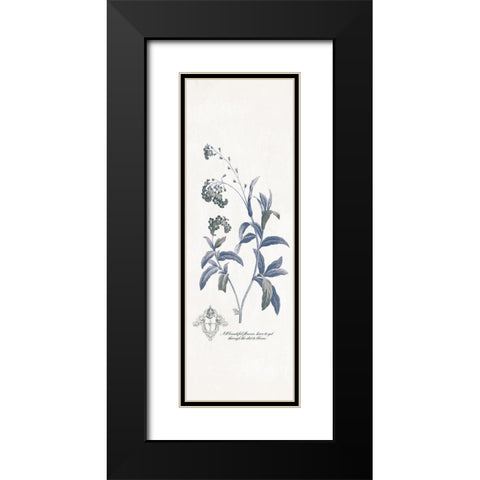 Beautiful Flowers Black Modern Wood Framed Art Print with Double Matting by Grey, Jace