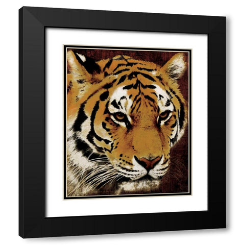 Tiger Black Modern Wood Framed Art Print with Double Matting by Grey, Jace