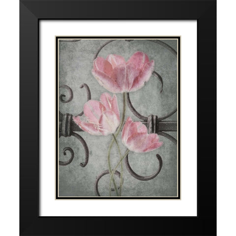 Floral Fence Mate Black Modern Wood Framed Art Print with Double Matting by Grey, Jace