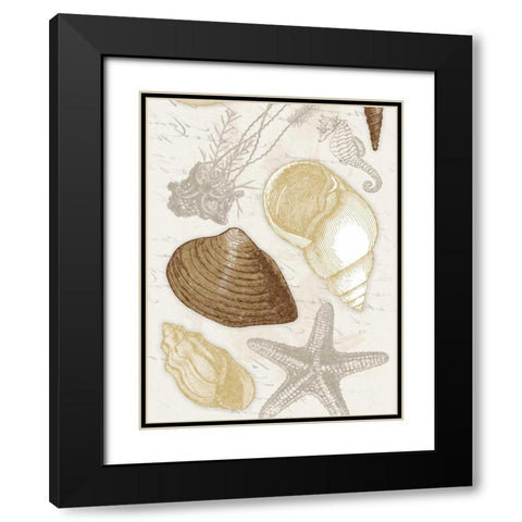 Shells Black Modern Wood Framed Art Print with Double Matting by Grey, Jace