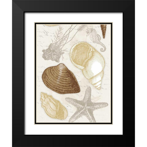 Shells Black Modern Wood Framed Art Print with Double Matting by Grey, Jace