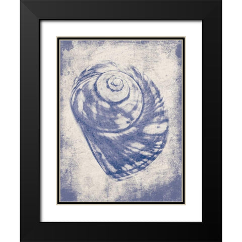 Shell Shade Mate Black Modern Wood Framed Art Print with Double Matting by Grey, Jace