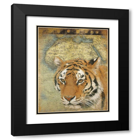 Tiger Africa Black Modern Wood Framed Art Print with Double Matting by Grey, Jace