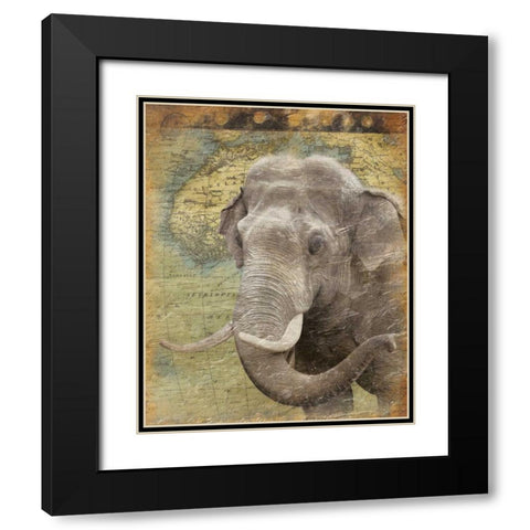 Elephant 2 Black Modern Wood Framed Art Print with Double Matting by Grey, Jace