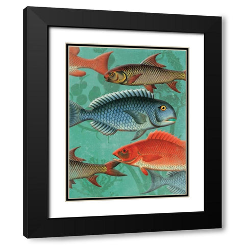 School OF Fish Black Modern Wood Framed Art Print with Double Matting by Grey, Jace