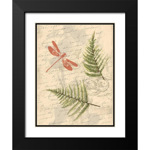 Ferns Black Modern Wood Framed Art Print with Double Matting by Grey, Jace