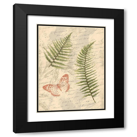 Ferns Mate Black Modern Wood Framed Art Print with Double Matting by Grey, Jace
