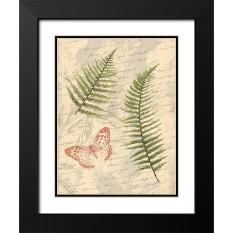 Ferns Mate Black Modern Wood Framed Art Print with Double Matting by Grey, Jace