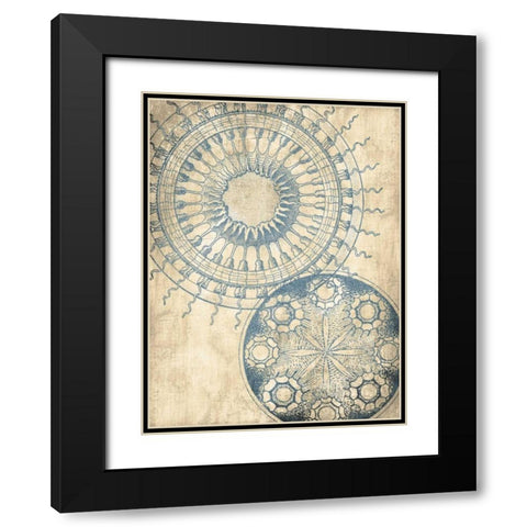 Coastal Patterns Cream Mate Black Modern Wood Framed Art Print with Double Matting by Grey, Jace