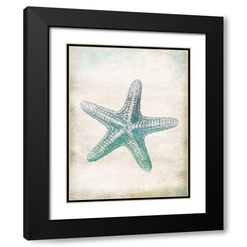 Starfish Black Modern Wood Framed Art Print with Double Matting by Grey, Jace