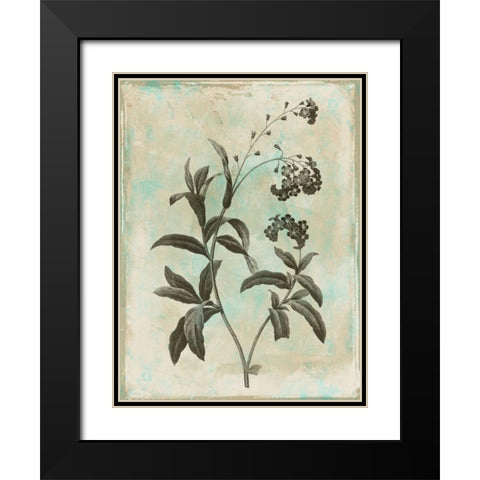 Earthy floral 1 Black Modern Wood Framed Art Print with Double Matting by Grey, Jace