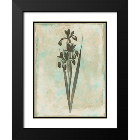 Earthy Floral Blend Black Modern Wood Framed Art Print with Double Matting by Grey, Jace