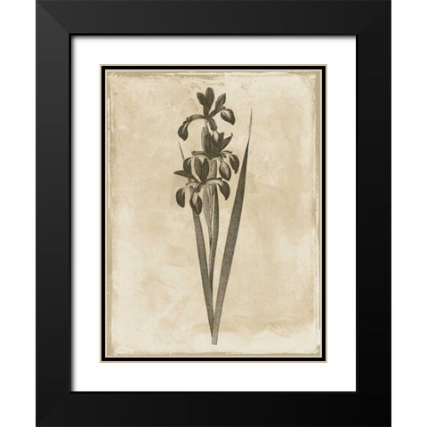 Earthy floral 2 Black Modern Wood Framed Art Print with Double Matting by Grey, Jace