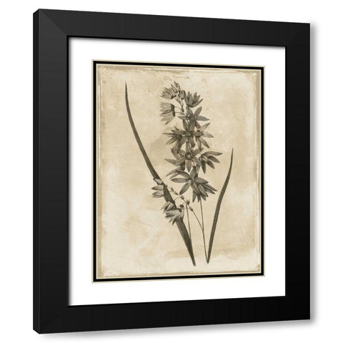 Earthy  floral 3 Black Modern Wood Framed Art Print with Double Matting by Grey, Jace