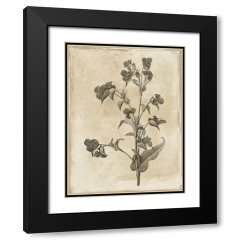 Earthy floral 4 Black Modern Wood Framed Art Print with Double Matting by Grey, Jace