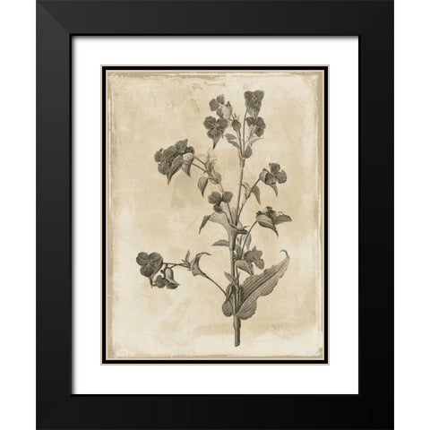 Earthy floral 4 Black Modern Wood Framed Art Print with Double Matting by Grey, Jace