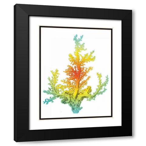 Colorful beach mate Black Modern Wood Framed Art Print with Double Matting by Grey, Jace