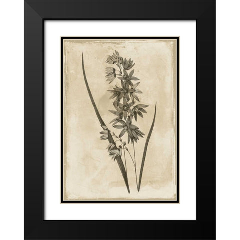 Floral Earthtone Black Modern Wood Framed Art Print with Double Matting by Grey, Jace