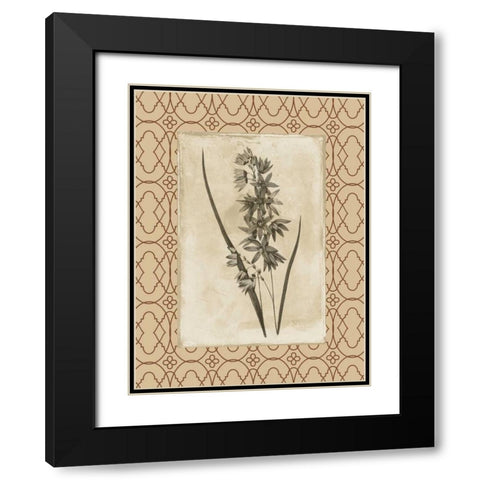Floral bordered Black Modern Wood Framed Art Print with Double Matting by Grey, Jace
